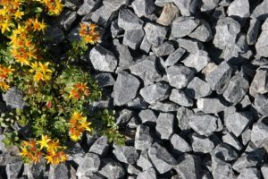 Basalt